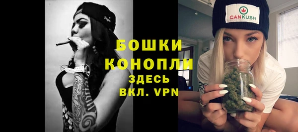 гидропоника Карпинск