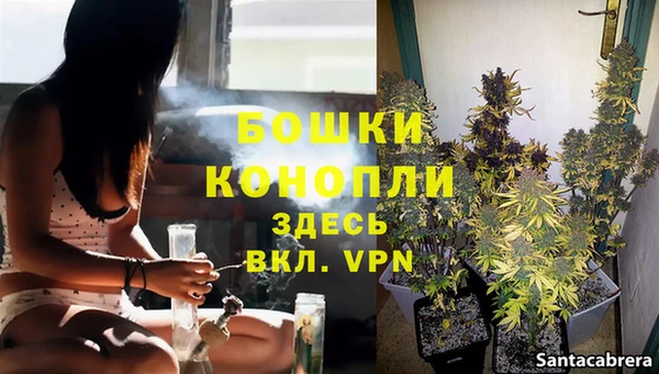 spice Иннополис