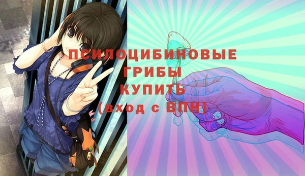 герыч Инсар