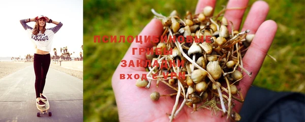 spice Иннополис