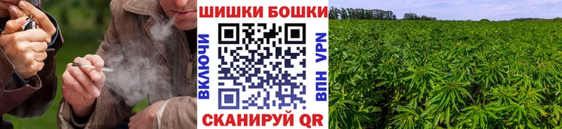 shop Telegram  где продают   Безенчук  Канабис сатива 